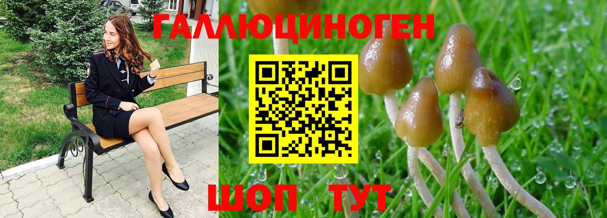 Галлюциногенные грибы мухоморы  Вход с VPN  Гагарин 